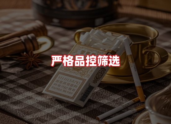 专业团队